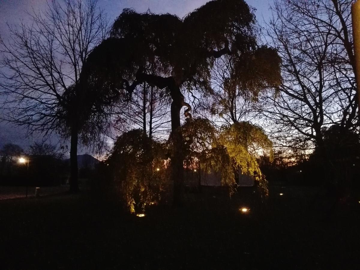 Agriturismo La Sophora Montegaldella المظهر الخارجي الصورة