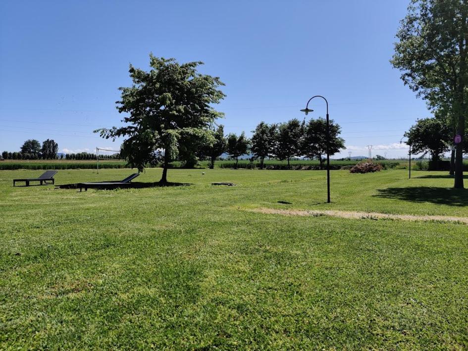 Agriturismo La Sophora Montegaldella المظهر الخارجي الصورة