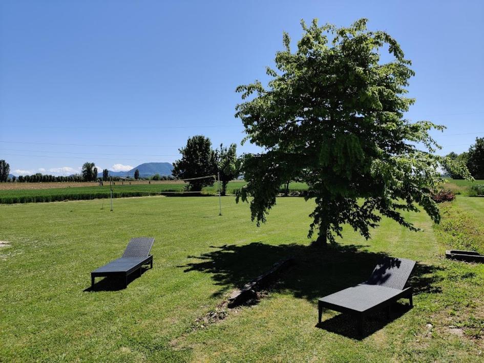Agriturismo La Sophora Montegaldella المظهر الخارجي الصورة