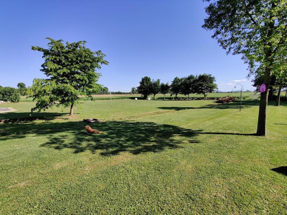 Agriturismo La Sophora Montegaldella المظهر الخارجي الصورة